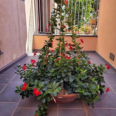 Luigi E Rachele 4* Ravello