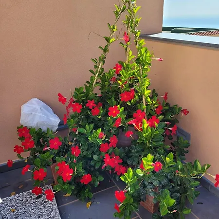 Luigi E Rachele Gasthuis 4*