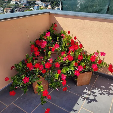 Casa de hóspedes Luigi E Rachele Ravello