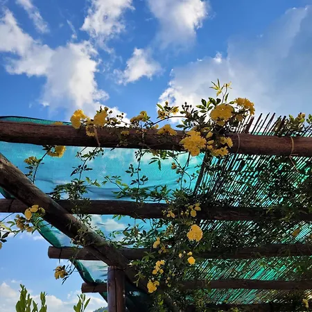 Luigi E Rachele בית הארחה